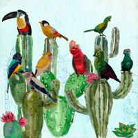 DESERT OWLS