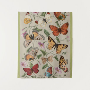 Tapiz Dibujo de la Colección de Mariposas y Polillas de