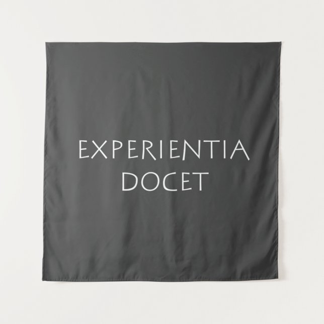 Tapiz Docente de Experientia (Anverso)