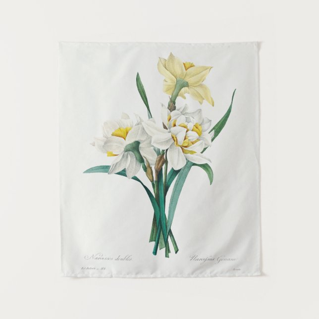 Tapiz Double Daffodil,  Pierre-Joseph Redouté, 1827 (Anverso)