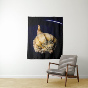 Tapiz El caparazón de caracol marino con los obstáculos