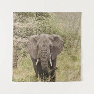 TAPIZ ELEFANTE VIENDO UN COCHE DE TURISMO