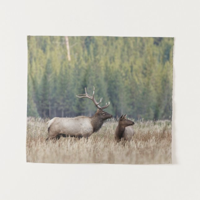 Tapiz Elk de toro en Meadow | Parque nacional Yellowston (Anverso (horizontal))