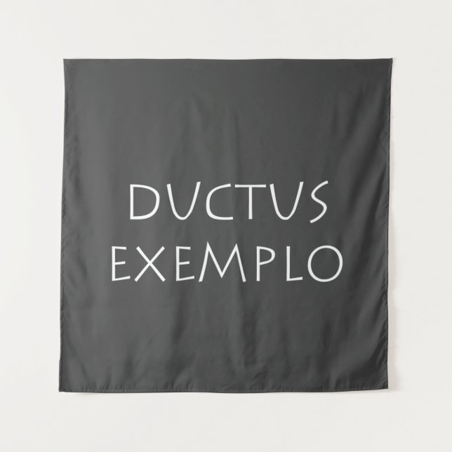 Tapiz Exemplo de Ductus (Anverso)