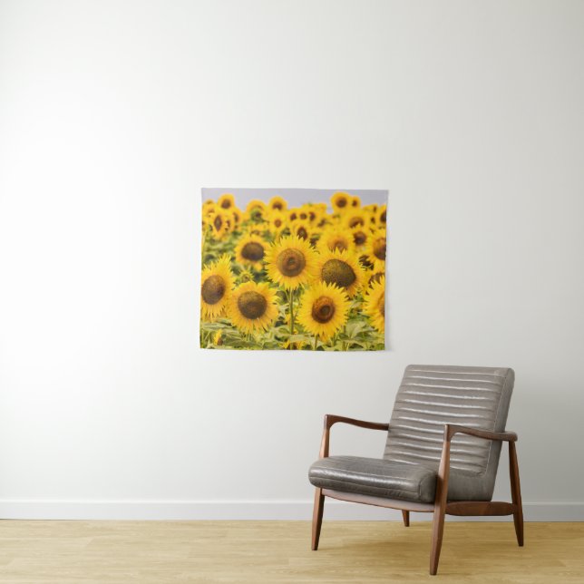 Tapiz Farms | A Sunflower Field (In situ (horizontal))