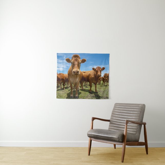 Tapiz Farms | Brown Cow Group (In situ (horizontal))