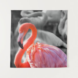 Tapiz Flamingo Bird Photography