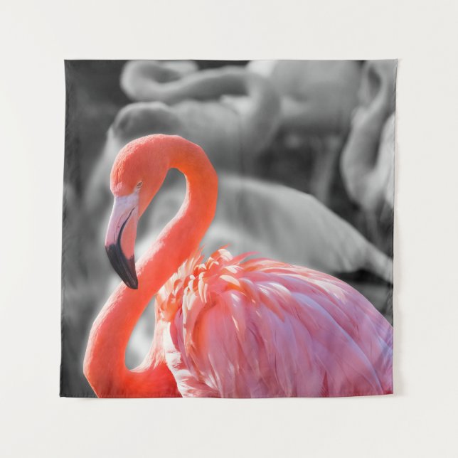 Tapiz Flamingo Bird Photography (Anverso)