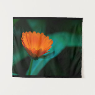 Tapiz flor de margarita naranja