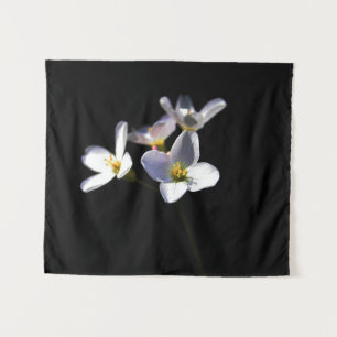 Tapiz Flores de Cardamine Pratensis wtm