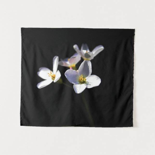 Tapiz Flores de Cardamine Pratensis wtm (Anverso (horizontal))