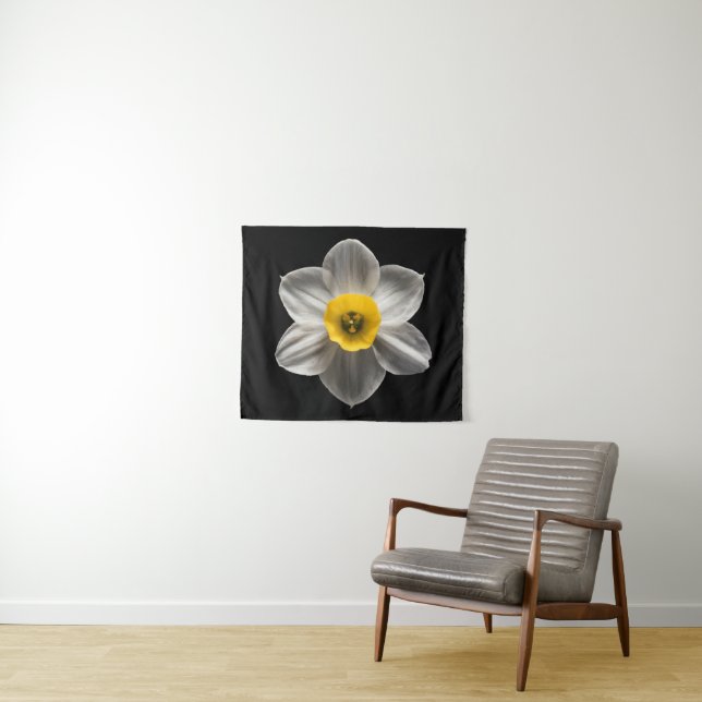 Tapiz Flowers | White Daffodil Flower (In situ (horizontal))