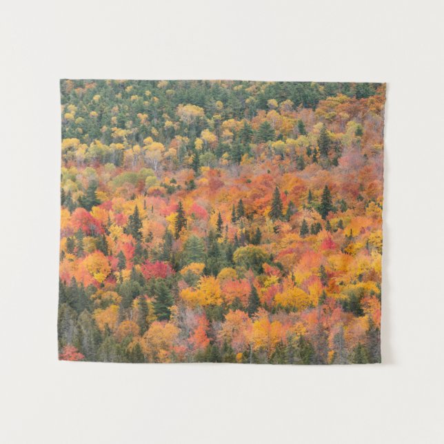 Tapiz Follaje de otoño | Península de Keweenaw, Michigan (Anverso (horizontal))