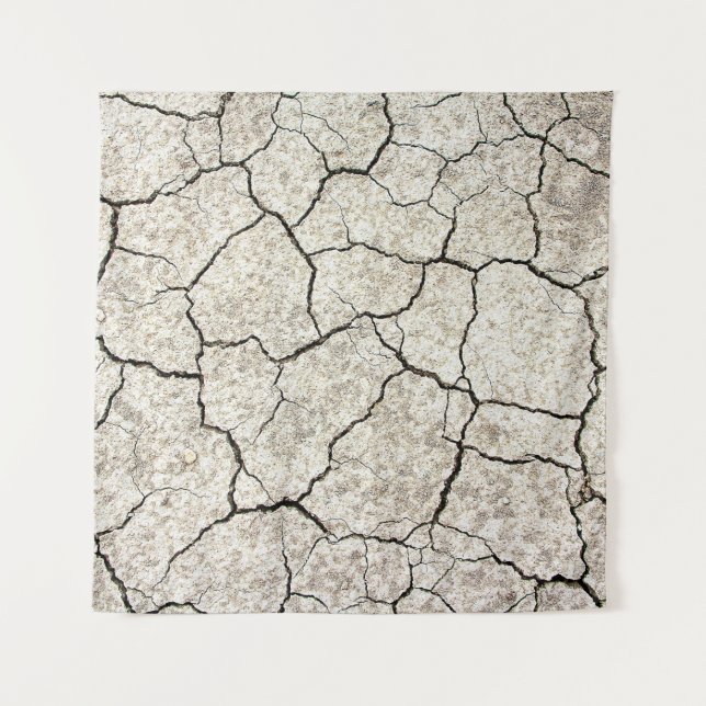 Tapiz Fondo de estructura de grietas de textura (Anverso)
