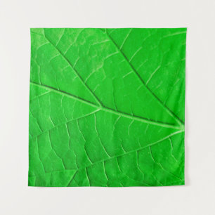 Tapiz Fondo de la planta de ecología de hoja verde macro