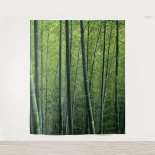 Tapiz Fondo o decorado de bosque verde profundo