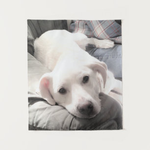 Tapiz Foto de adorable cachorro cansado con papá en el s