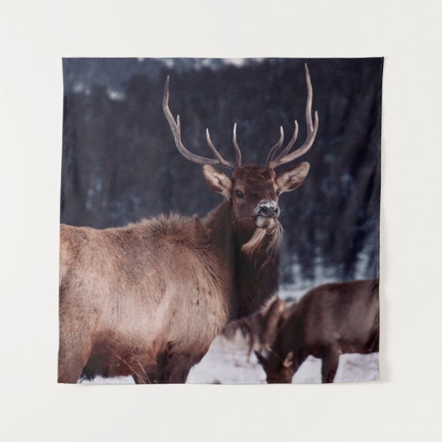 TAPIZ FOTO DE DEFENSA DE BROWN DEER (Anverso)