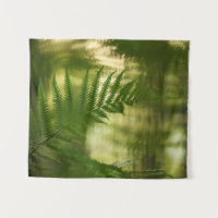 Foto de Fern Nature