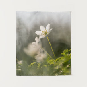 Tapiz Foto de la naturaleza de las flores