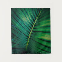 Foto de la naturaleza tropical de la hoja verde