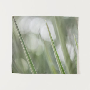 Tapiz Foto de la vegetación de la planta verde