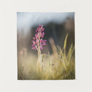 Tapiz Foto de naturaleza de orquídeas silvestres