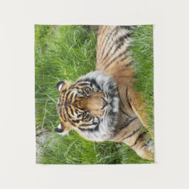 Tapiz Foto del tigre del gato grande de Sumatra