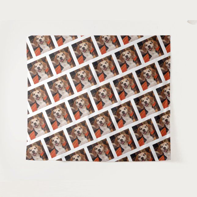 Tapiz Foto propia del Mascota: perro, gato, paso y fondo (Anverso (horizontal))