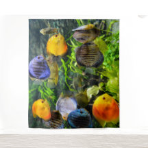 FOTO-TELÓN DE PECES HERMOSOS