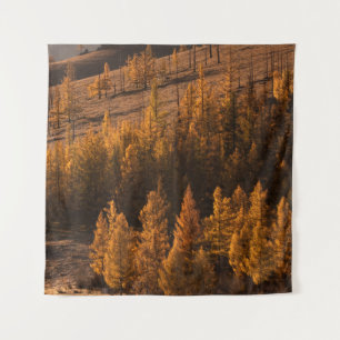TAPIZ FOTOGRAFÍA DEL PAISAJE DE ÁRBOLES DE COLOR MARRÓN