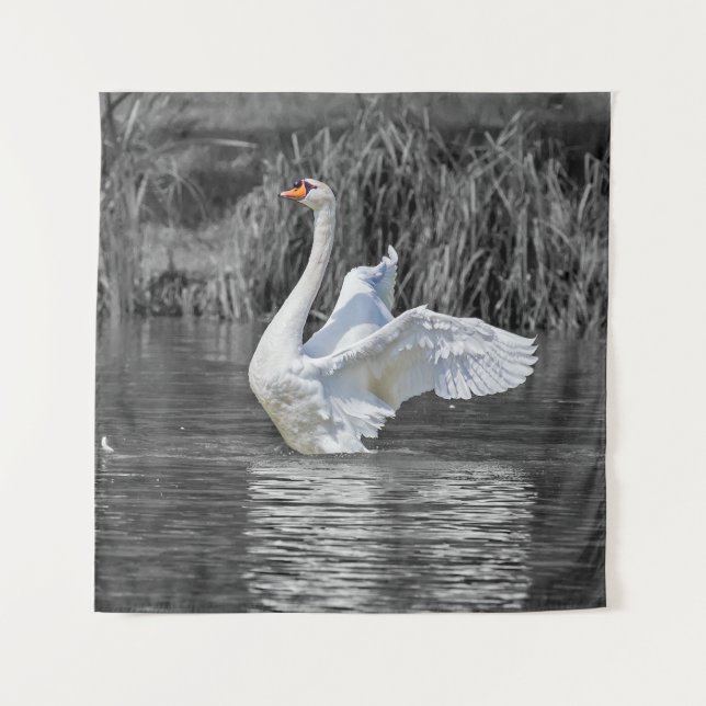 Tapiz Fotografía en blanco y negro de cisne (Anverso)
