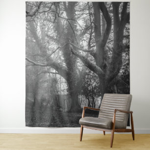 Tapiz Fotografía en blanco y negro del bosque espeluznan