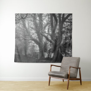 Tapiz Fotografía en blanco y negro del bosque espeluznan
