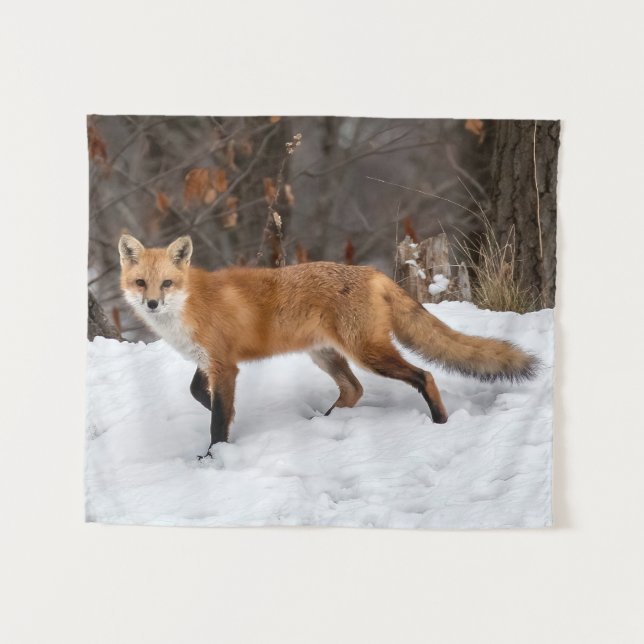 Tapiz Fox On Snow (Anverso (horizontal))