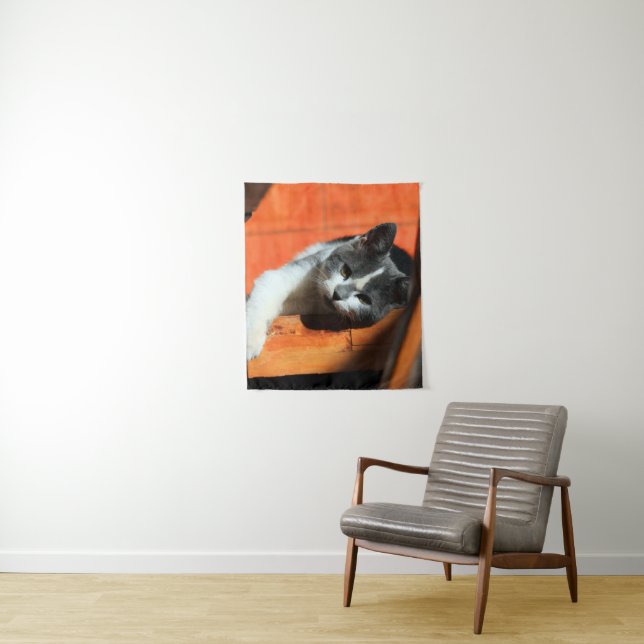 Tapiz Gatito (In situ)