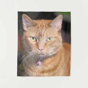 Tapiz Gato