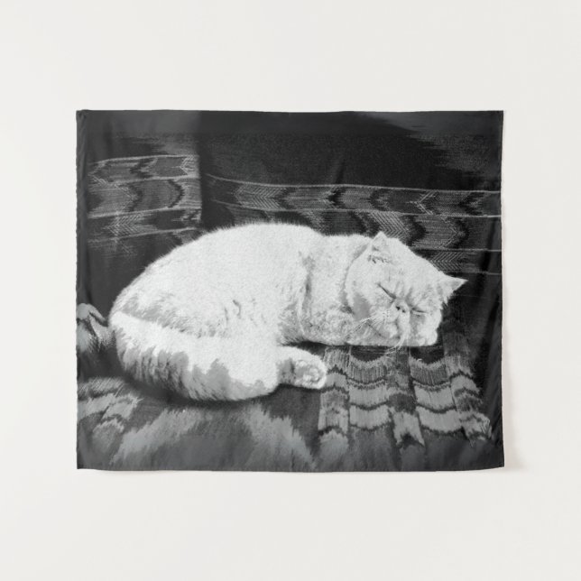 Tapiz Gato persa blanco durmiendo (Anverso (horizontal))