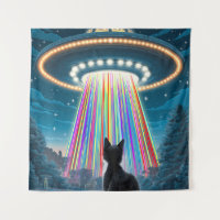 Gato y OVNI psicodélico | Gracioso arte de secuest