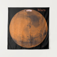 Globe Mars de la NASA