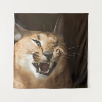 Goofy Lynx