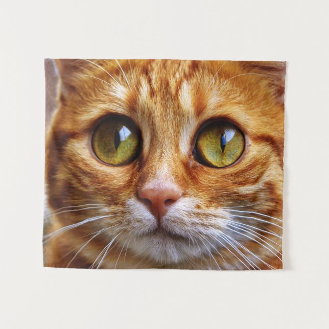 Tapiz Gracioso gato doméstico (Anverso (horizontal))