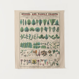 Tapiz Gráfico Antiguo de la Escuela Botánica Naturaleza
