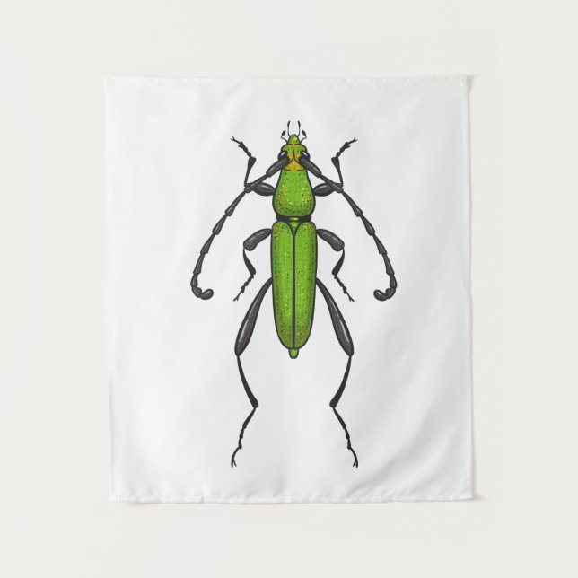 Tapiz Green beetle (Anverso)