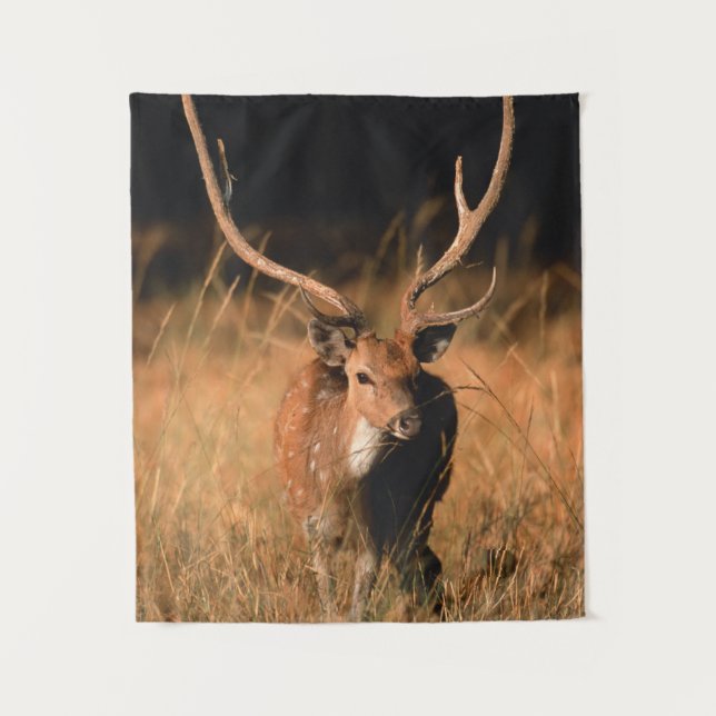 Tapiz Hábitat natural cínico | Parque nacional de Bandha (Anverso)