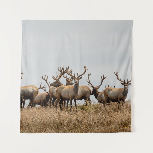 TAPIZ HERD OF DEER (Anverso)