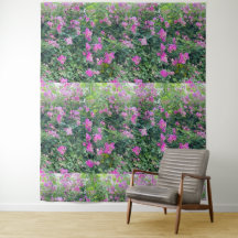 Hermosa Flor Colorida