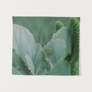 Tapiz Hermosa Planta Desierta Fotografía de Arte