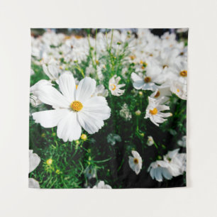 Tapiz Hermosas flores de cosmos blancos floreciendo en l