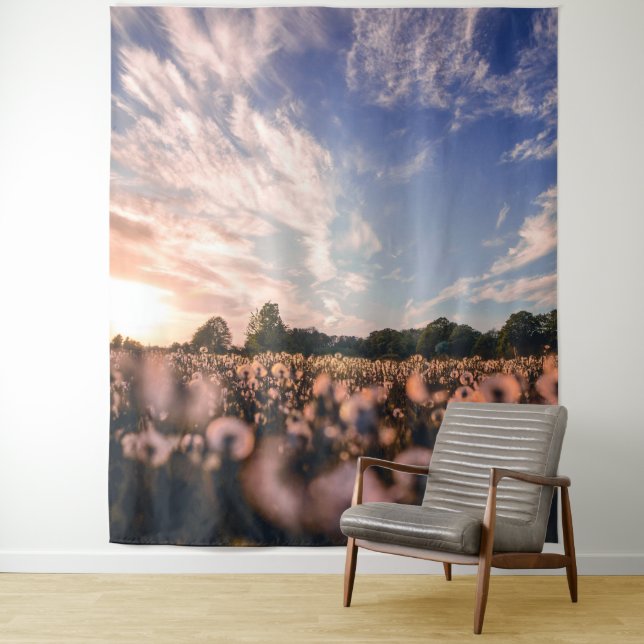 Tapiz hermoso cielo sobre la llanura (In situ)